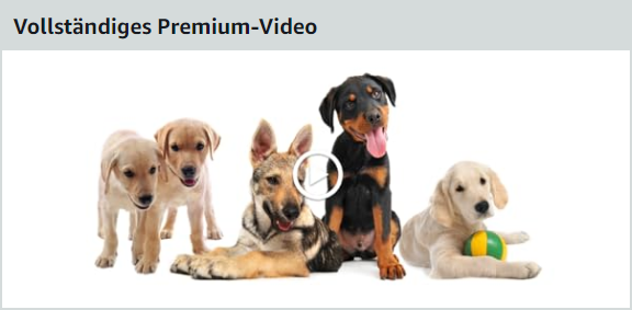 amazon-premium-a-content-elemente_vollstaendiges-premium-video