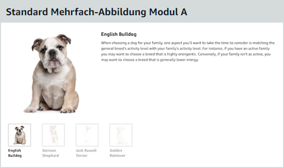Standard A+ Content Mehrfach Abbildung Modul A
