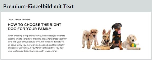 amazon-premium-a-content-elemente_einzelbild-mit-text