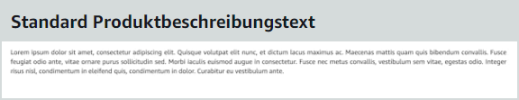 Standard A+ Content Produktbeschreibungstext