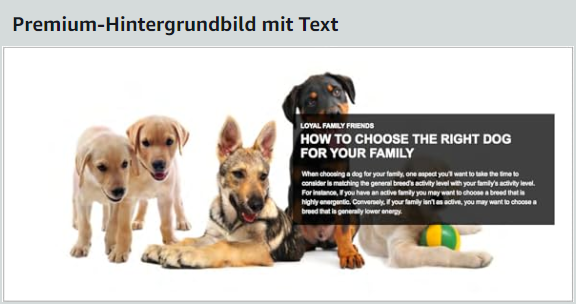 amazon-premium-a-content-elemente_hintergrundbild-mit-text