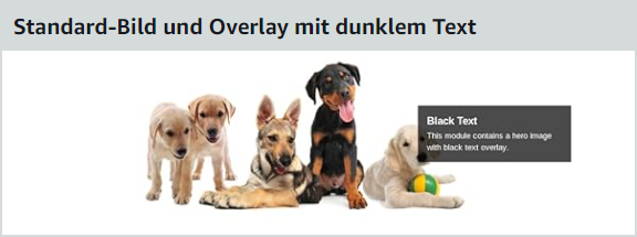 Standard A+ Content Bild und Overlay mit dunklem Text