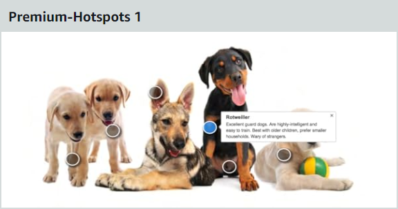 amazon-premium-a-content-elemente_hotspots