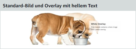 Standard A+ Content Bild und Overlay mit hellem Text