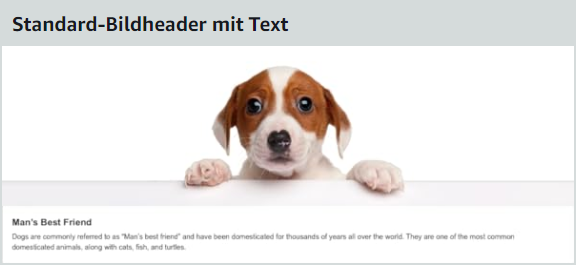 Standard A+ Content Bildheader mit Text