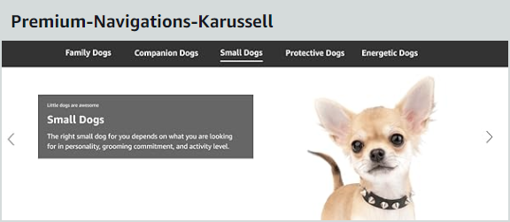 amazon-premium-a-content-elemente_navigations-karussell