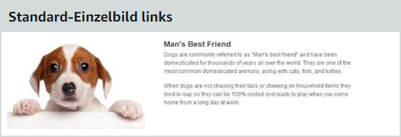 Standard A+ Content Einzelbild links