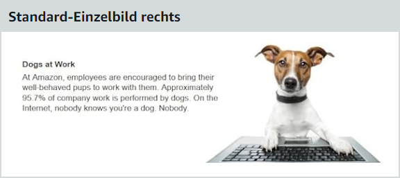 Standard A+ Content Einzelbild rechts