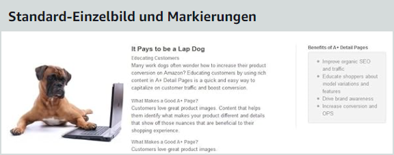 Standard A+ Content Einzelbild und Markierungen