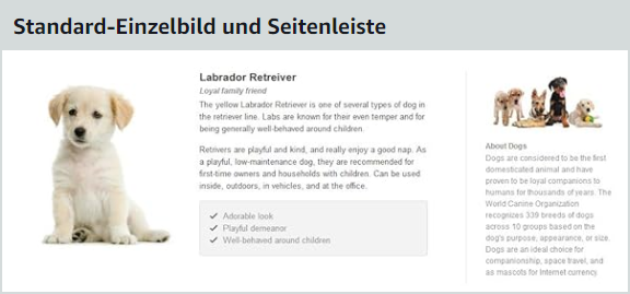 Standard A+ Content Einzelbild und Seitenleiste