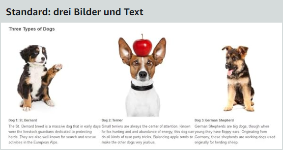 Standard A+ Content 3 Bilder und Text