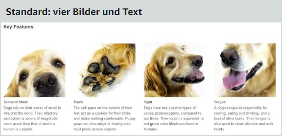 Standard A+ Content 4 Bilder und Text