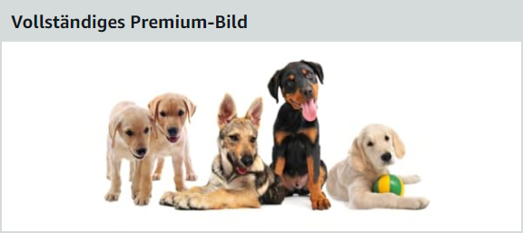 amazon-premium-a-content-elemente_vollstaendiges-premium-bild
